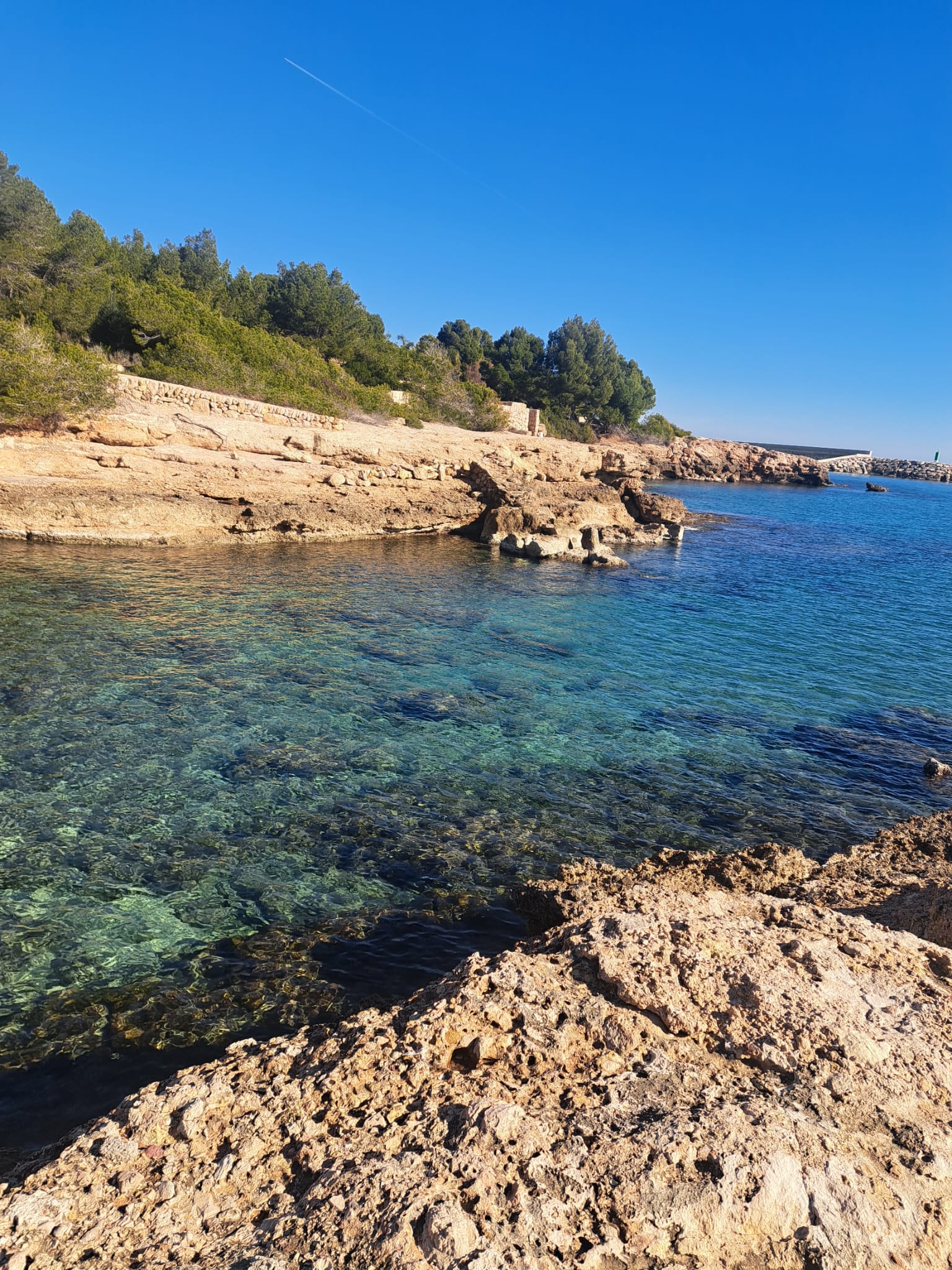 WhatsApp Image 2026-03-23 at 8.48.22 PM (6).jpeg